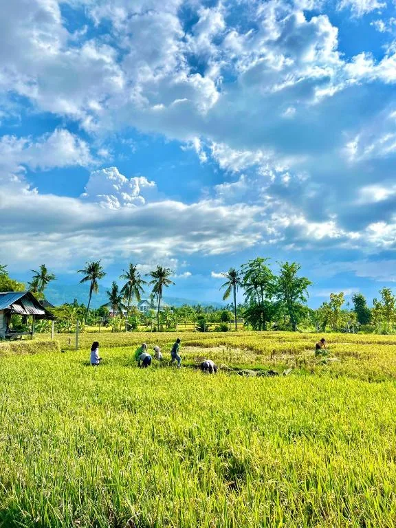 Rumi Bumi - Lovina Rice Terrace Boutique Stay