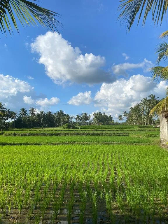 Hening suites Ubud — 5