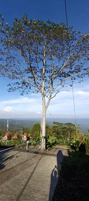 Camaradvipa Retreat Munduk — 5