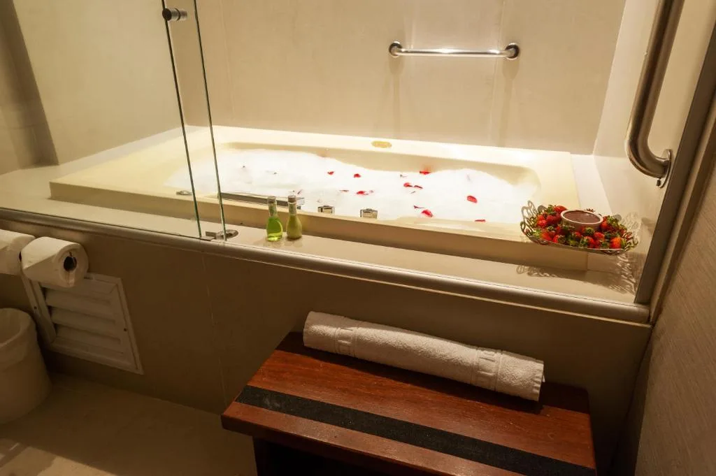 Radisson Hotel Anápolis — 3