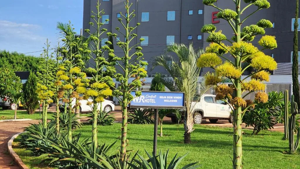 WR Confort Hotel Campo Grande — 3