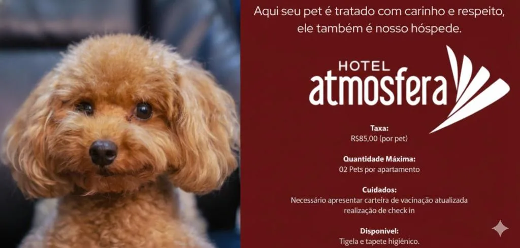 Hotel Atmosfera Feira de Santana — 2