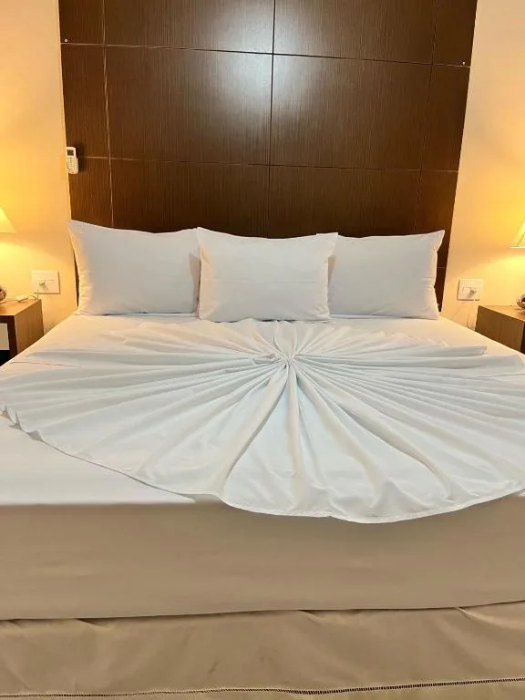 Imperador Palace Hotel Franca — 4