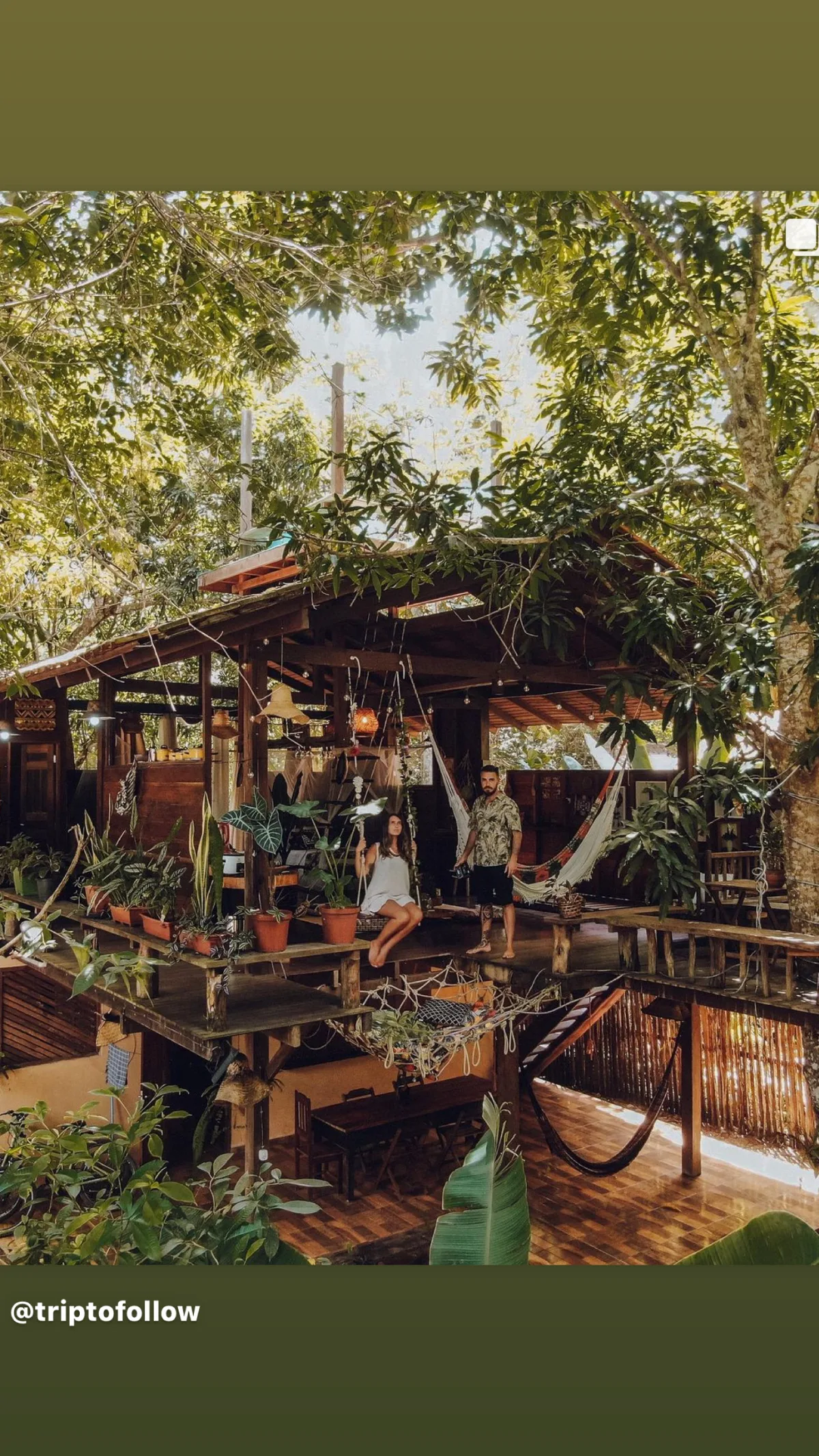 Casa Da Árvore Alter, Sonho Na Amazônia — 4