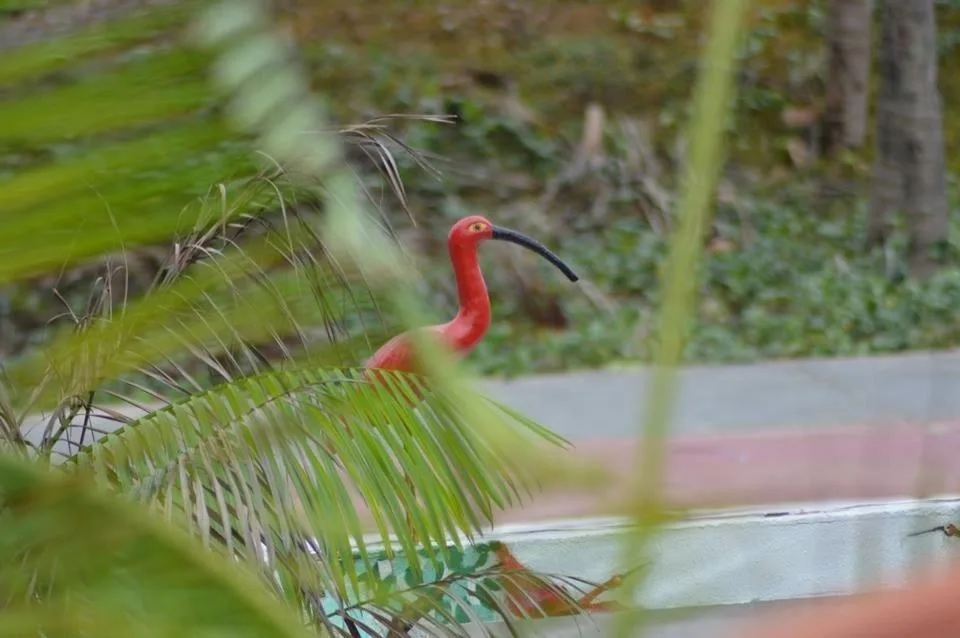 Pousada Maramazon — 5
