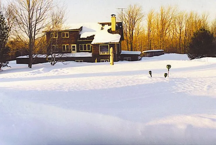 B&B Pinorama — 5