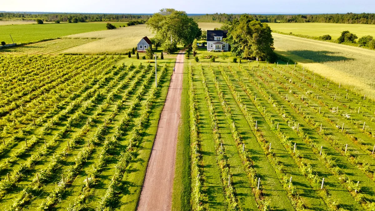 Sunbury Cove Winery — 2