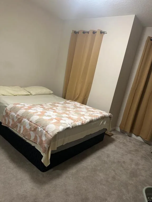 CozyVibe just — 2