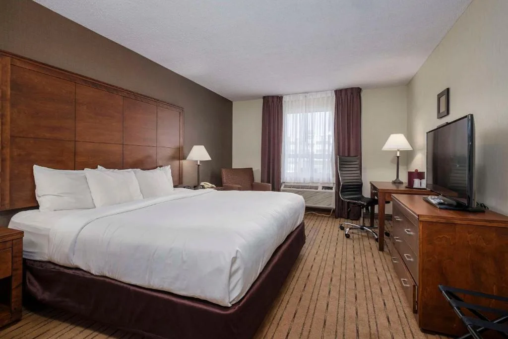 Comfort Inn - Gander — 5