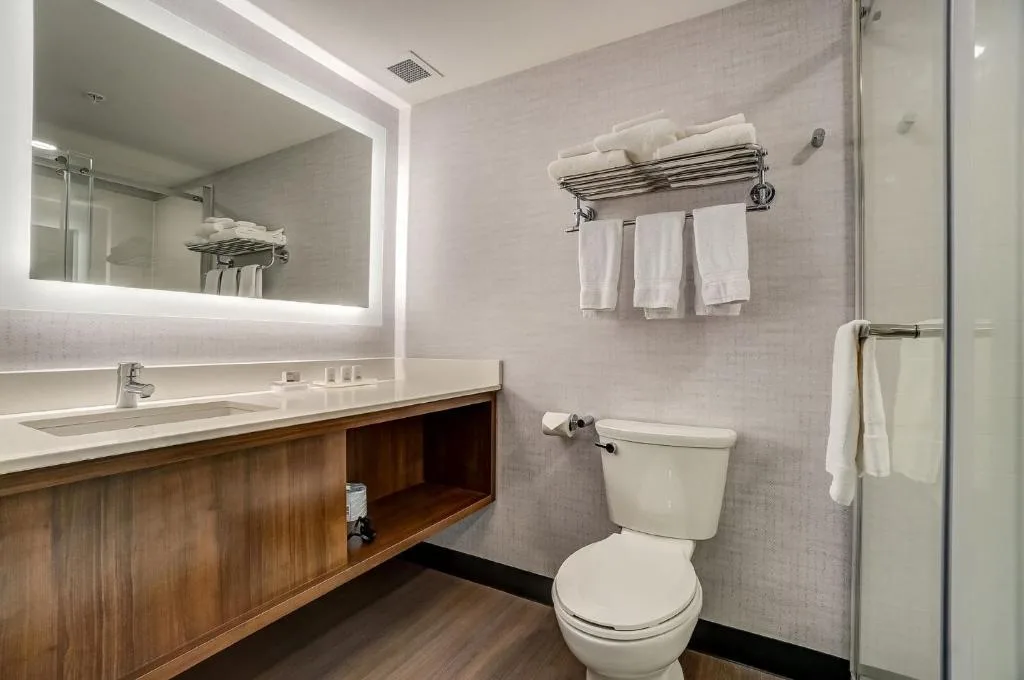 Holiday Inn Gatineau - Ottawa by IHG — 3