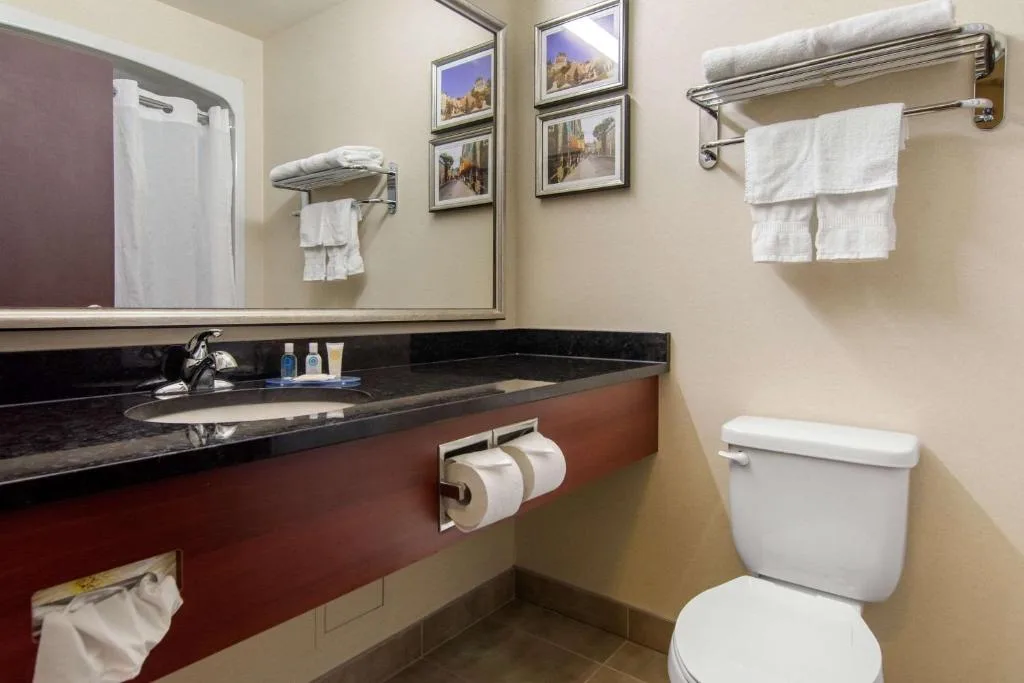Comfort Inn & Suites — 5