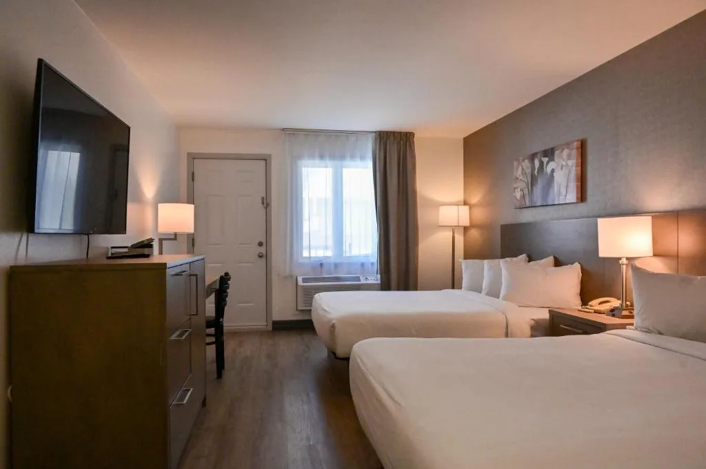Repotel Levis — 2
