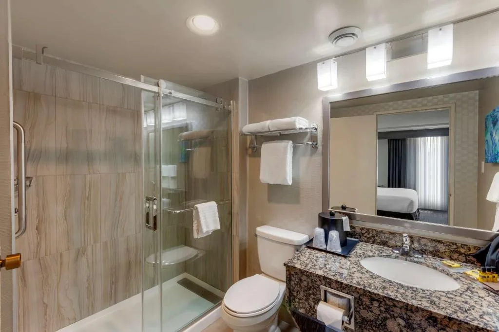 Best Western Plus Toronto Airport Hotel — 3