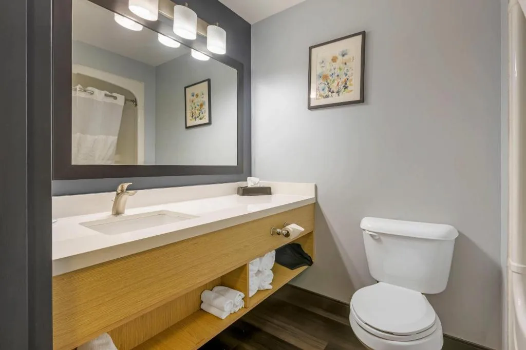 Quality Inn & Suites Oakville-Mississauga — 3