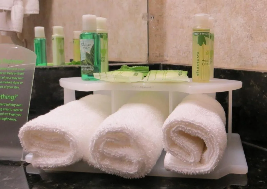 Holiday Inn Express Hotel & Suites Ottawa Airport by IHG — 3