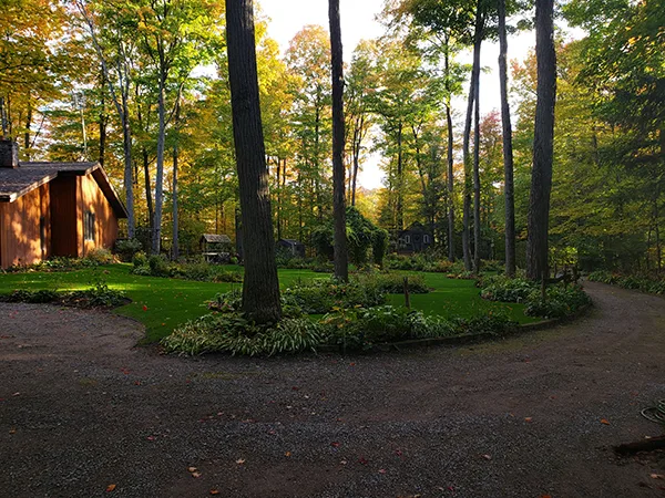 Consider the Lilies Bed and Breakfast — 2