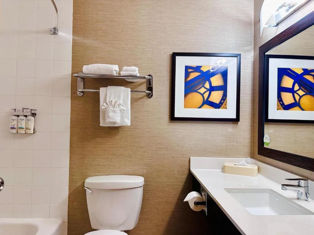 Holiday Inn Hotel & Suites Regina by IHG — 4