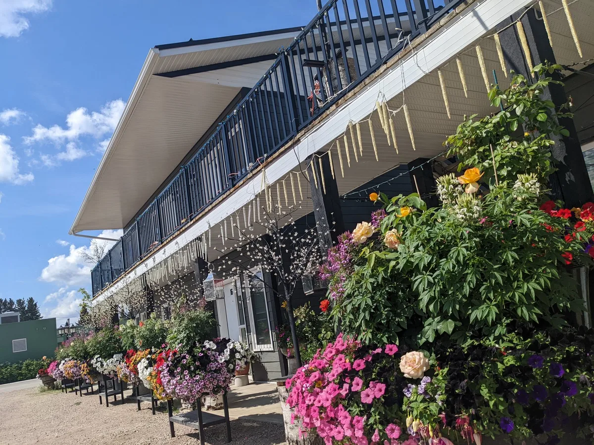 Wood Buffalo Inn — 2