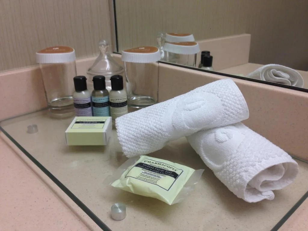 Executive Hotel Vancouver Airport — 3