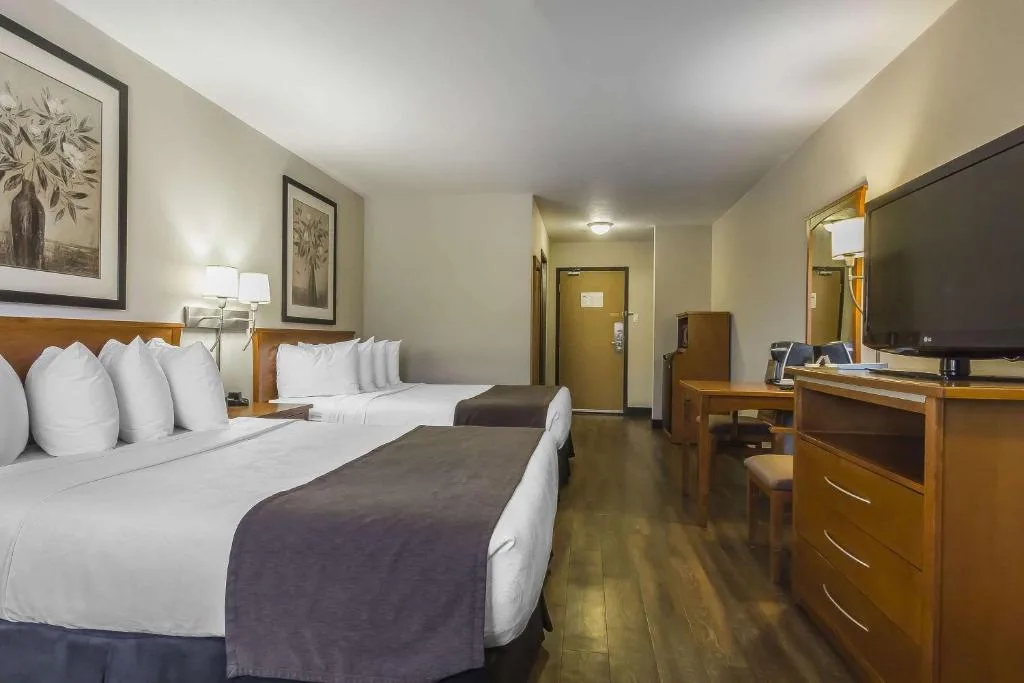Quality Inn & Suites — 4