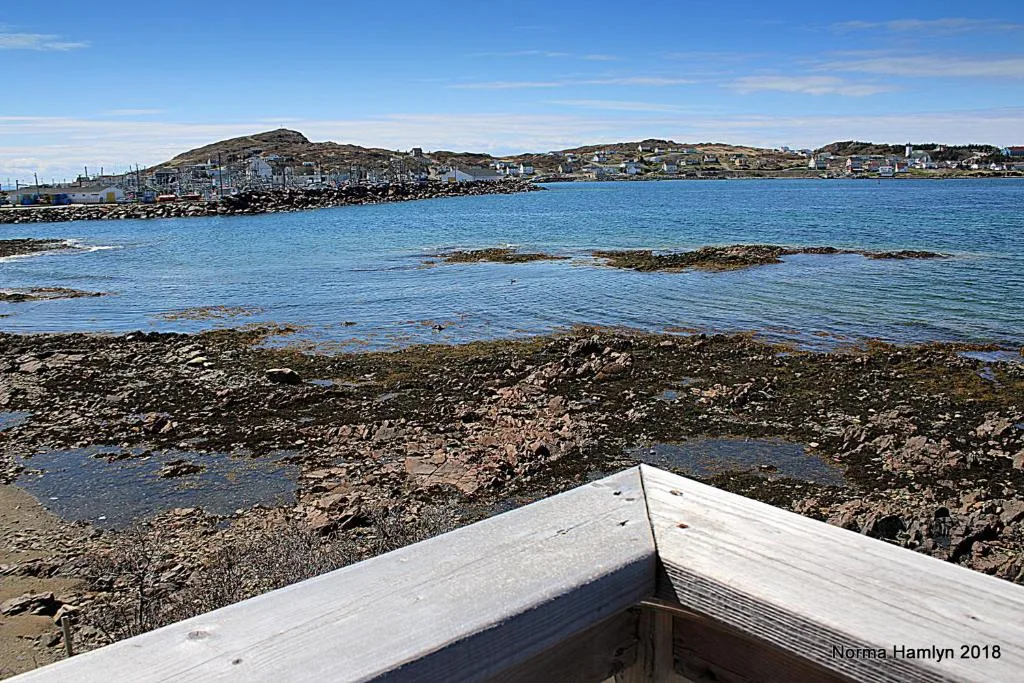 Twillingate