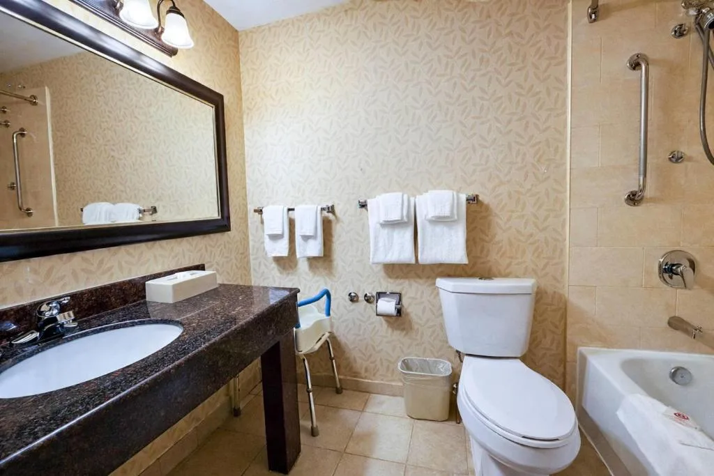Comfort Inn & Suites Ambassador Bridge — 3