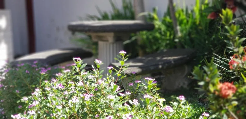 ALAJUELA CITY Hotel & Guest House — 5