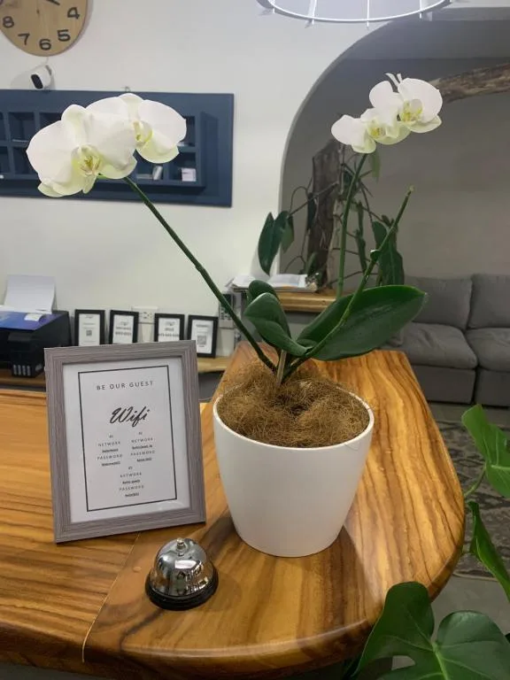 Berlor Airport Inn — 5