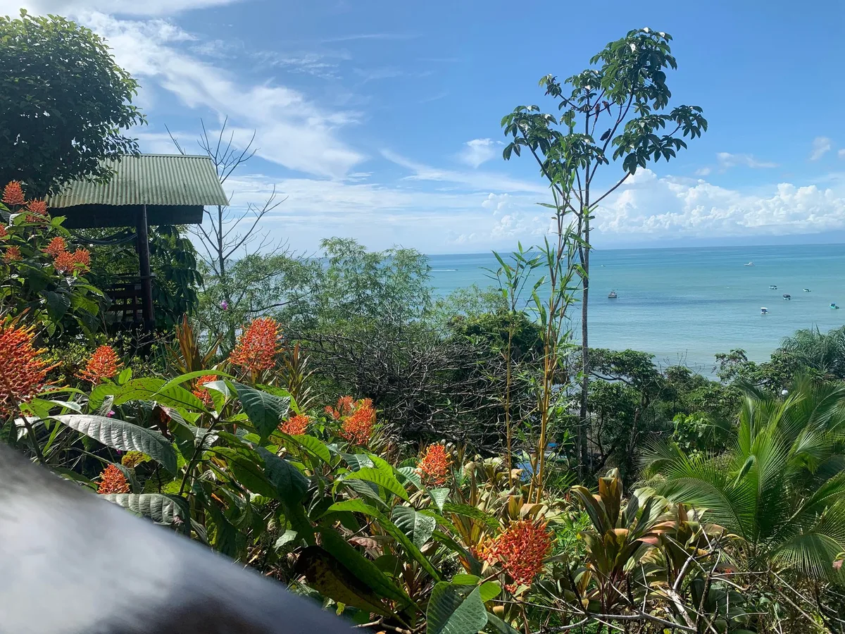 Vista Drake Lodge — 2