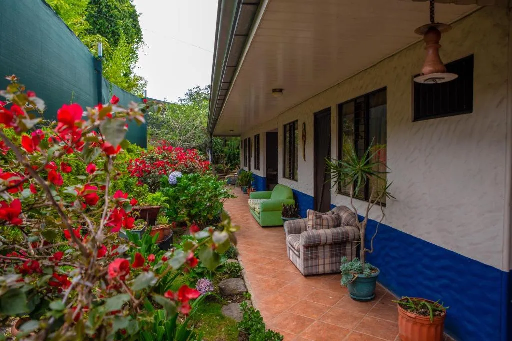 La Casa de Mamá Coyita — 3