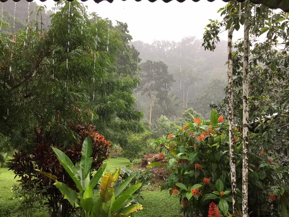 Canto del Tucán Lodge & Farm — 2