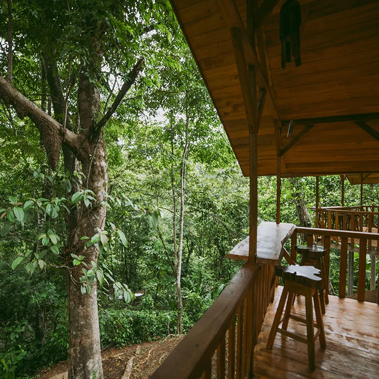 Finca Familiar Las Heliconias.
