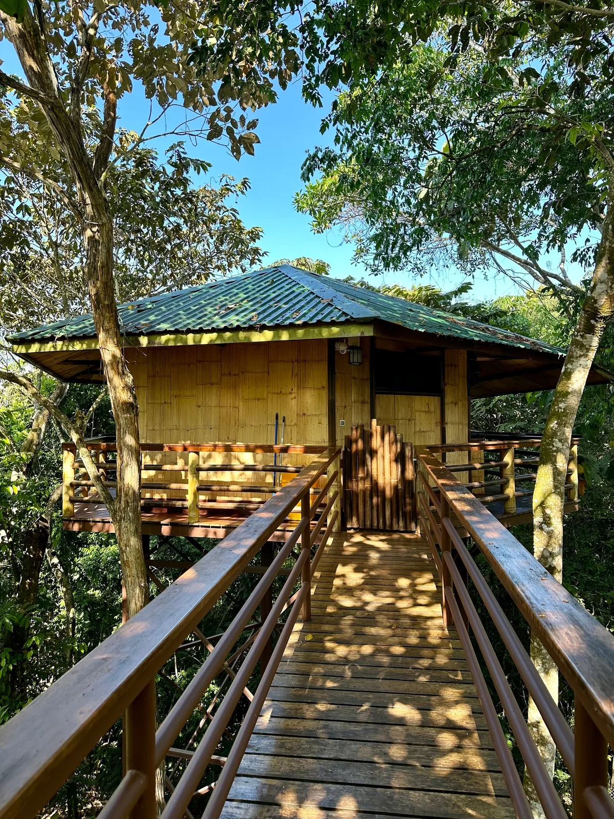 Treehouse Pilón — 3
