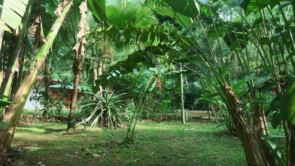 Casa Moabi — 4