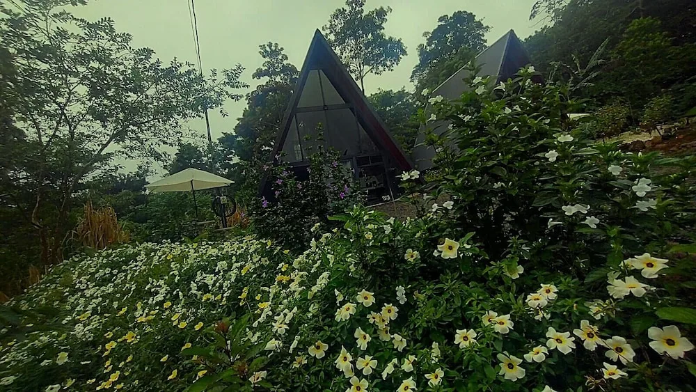 Yarumo Lodge, Río Celeste Black Chalets. — 3