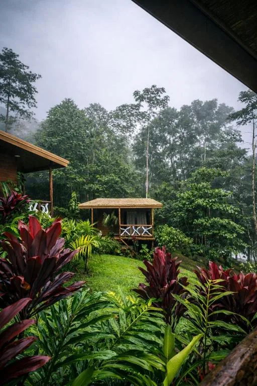 Chato Arenal Lodge — 4