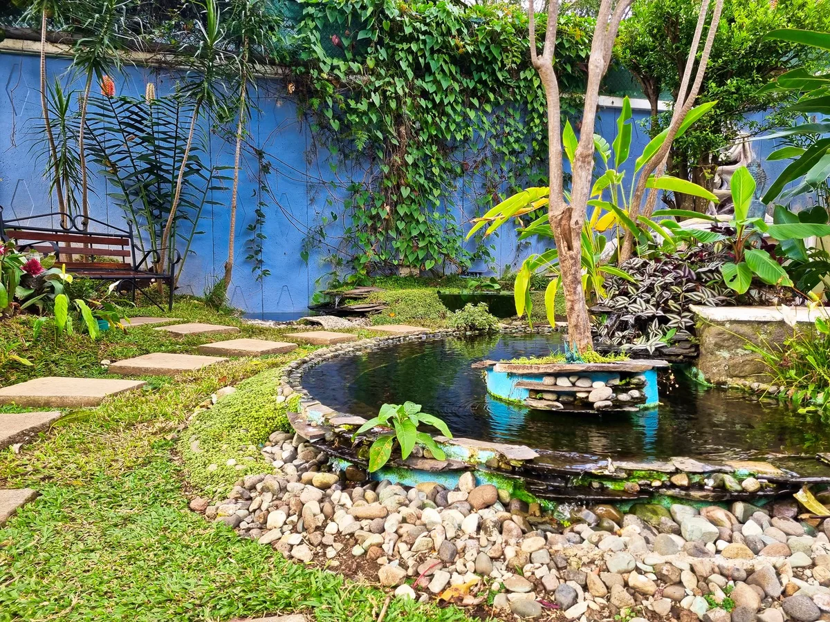 Casa Jardin del Mango — 2