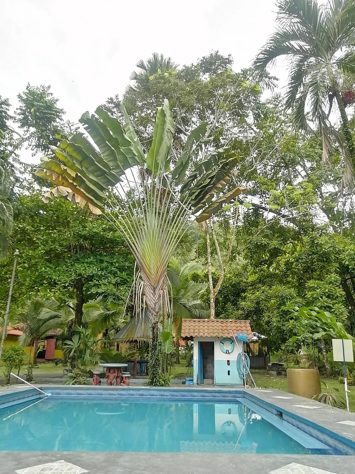 Hotel Hawa