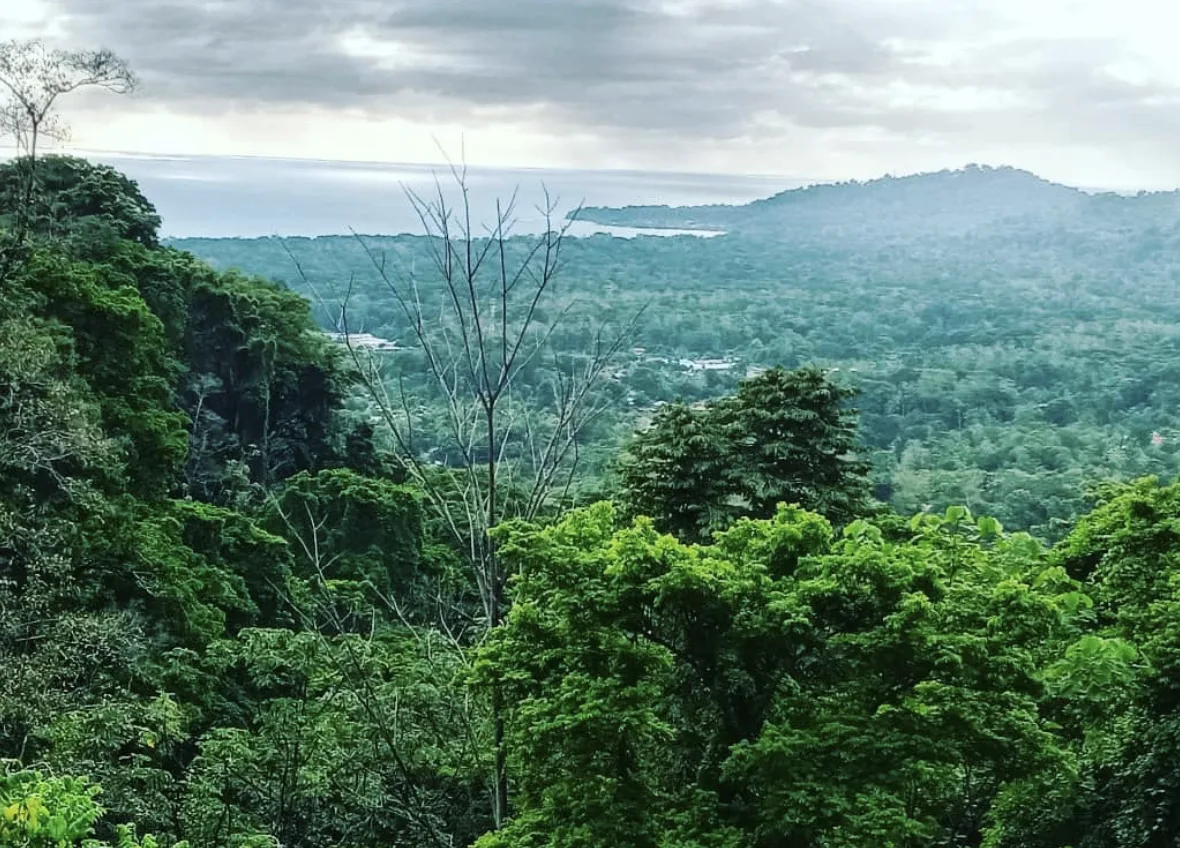 Samasati Retreat Center — 5