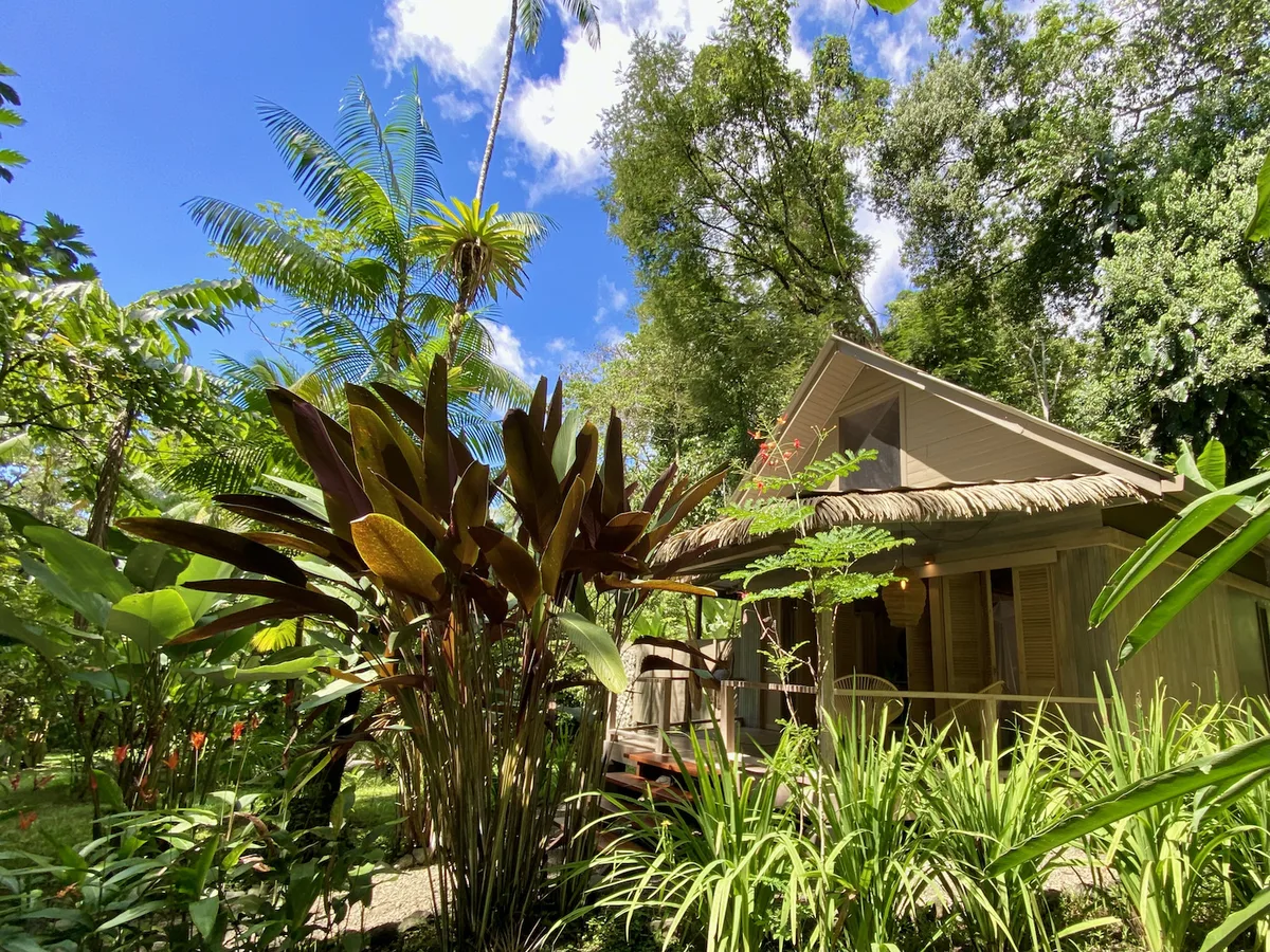 Golfo Dulce Retreat | Rainforest & Beach Ecolodge — 5