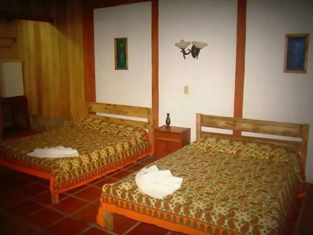 Hotel La Gamba Rainforest Lodge — 4