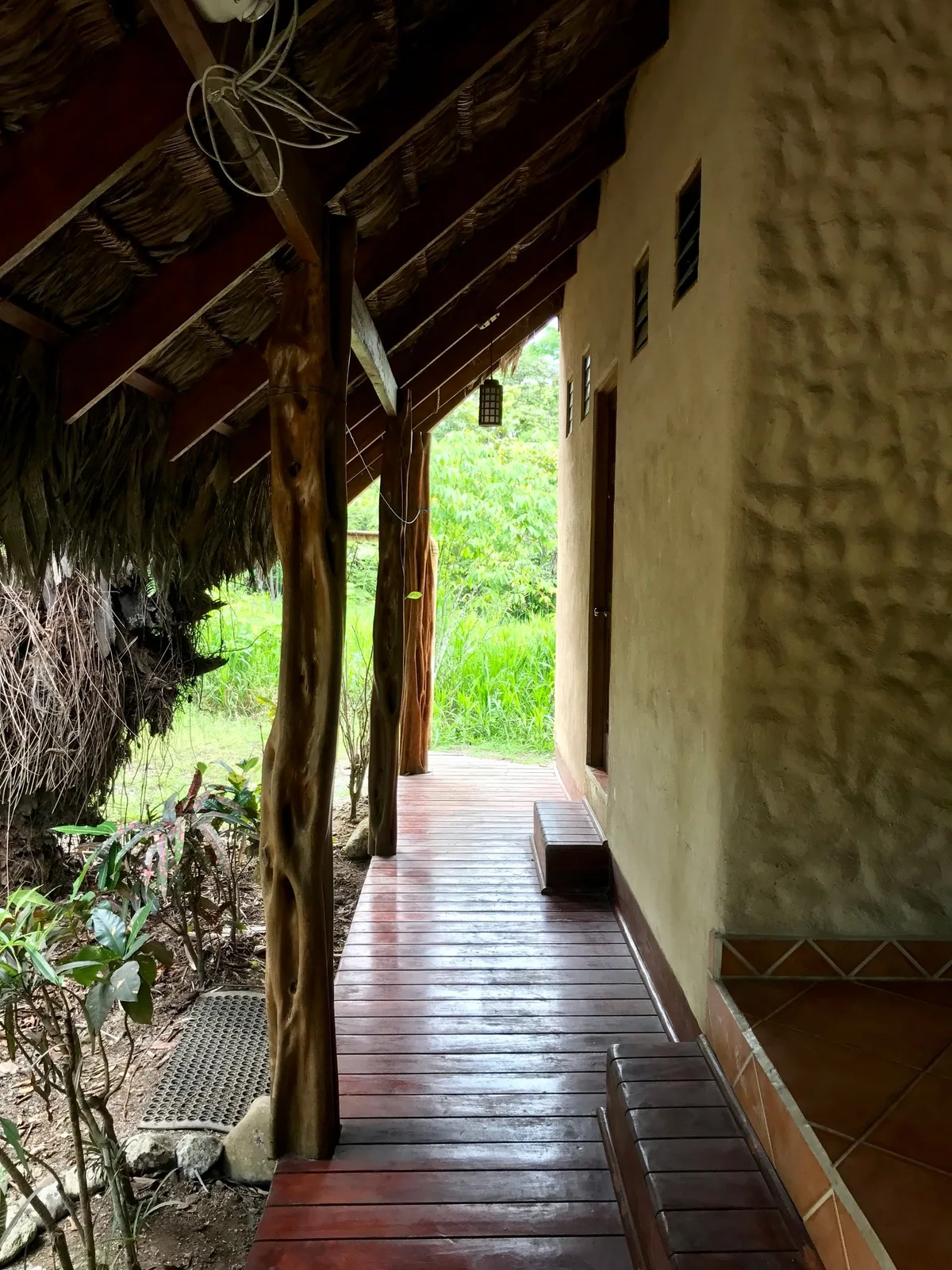 La Palapa Hut Nature Hostel