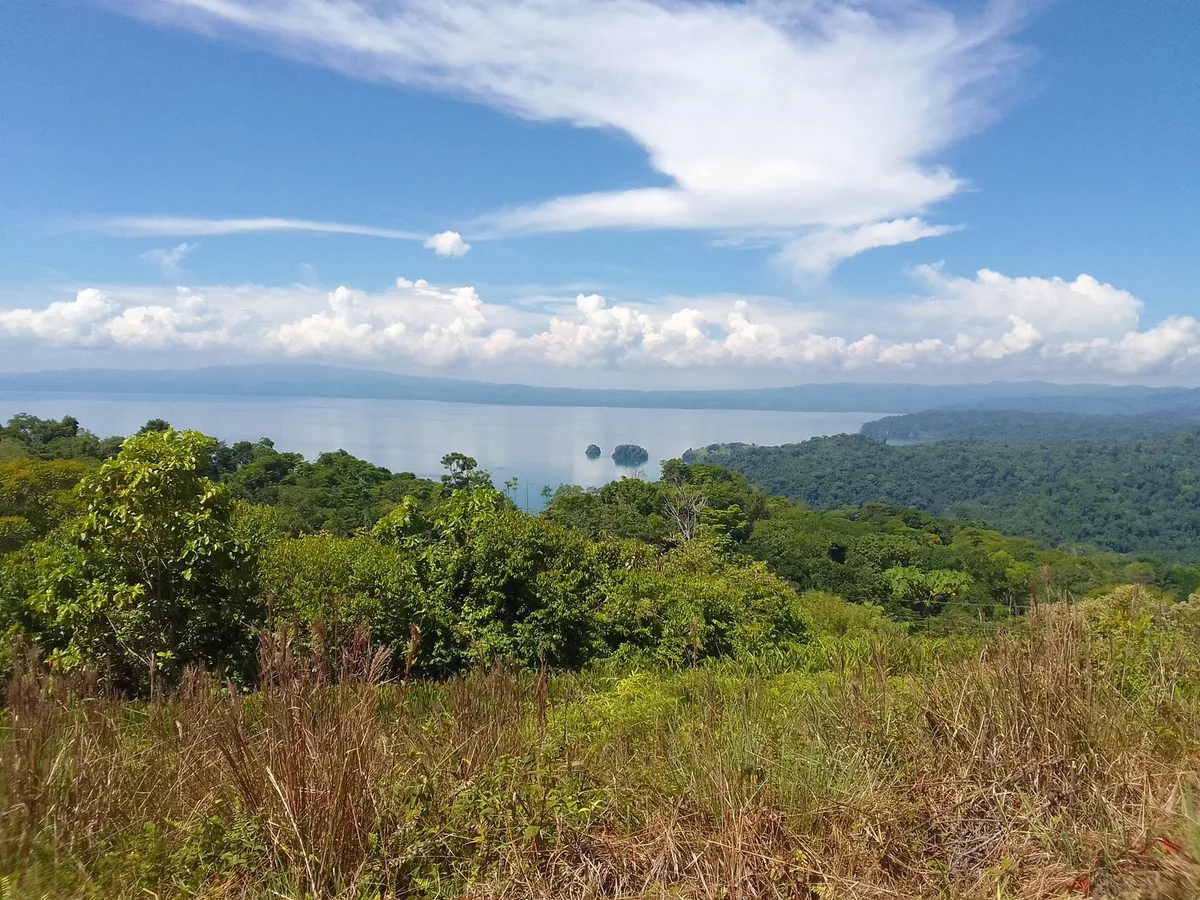 Mirador Osa — 5