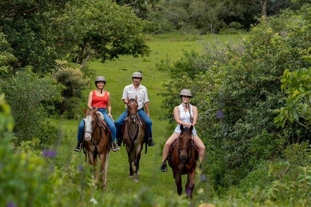 Rinconcito Lodge — 5