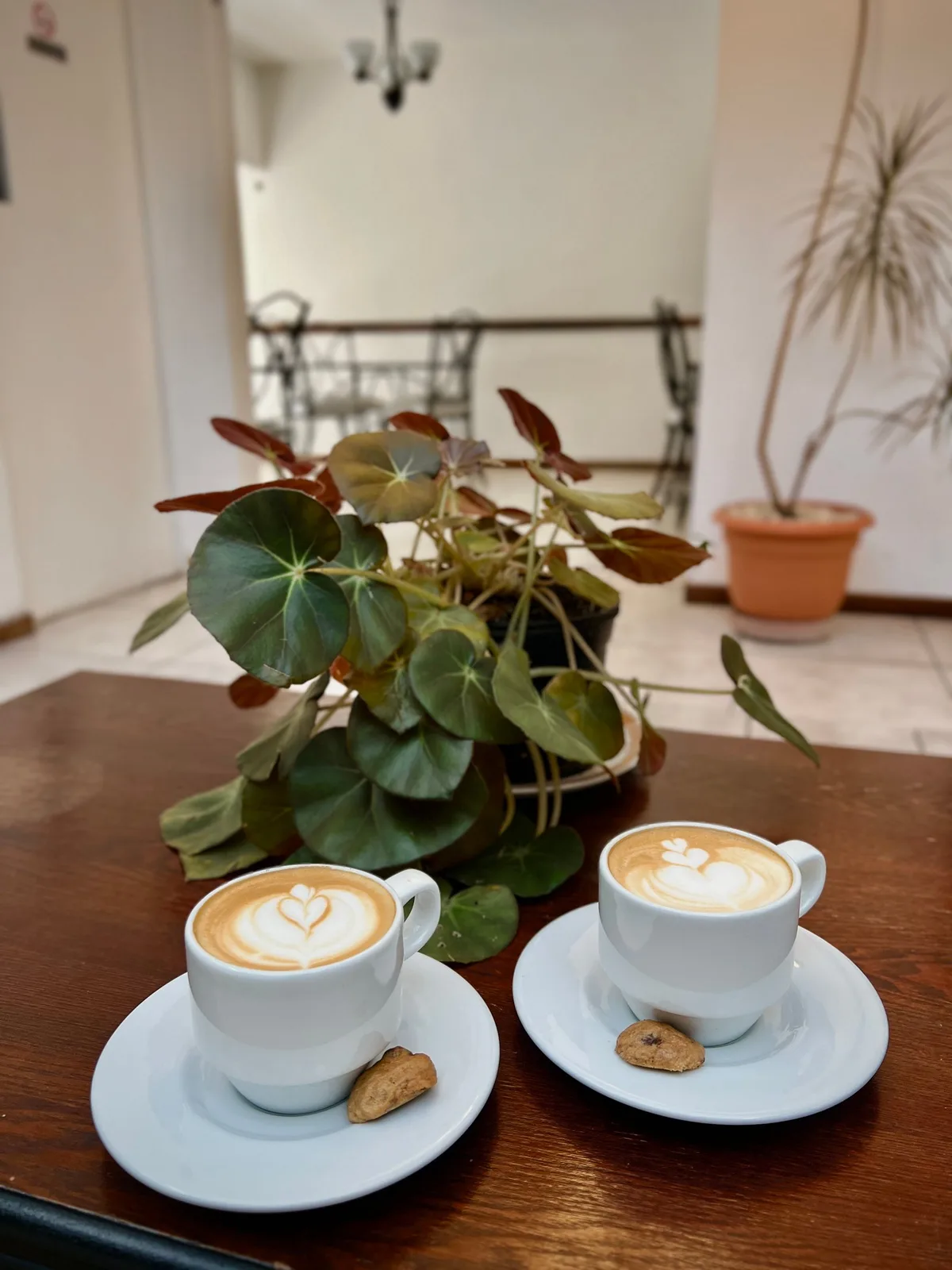 Casa Esmeralda Hotel Boutique - San José — 4