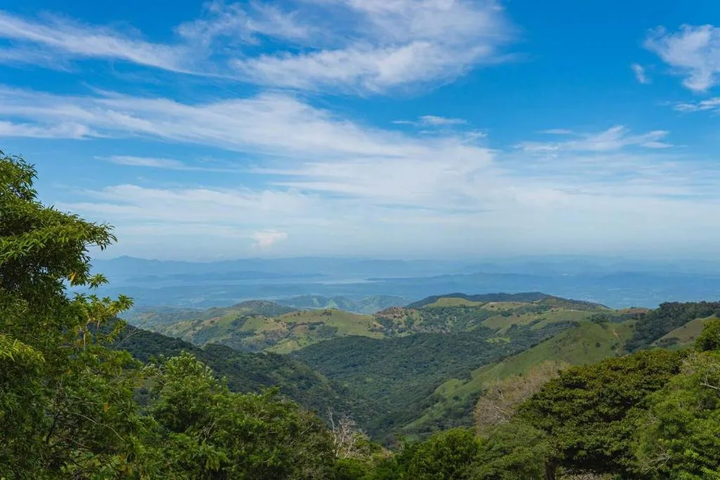 Finca Murillo — 3