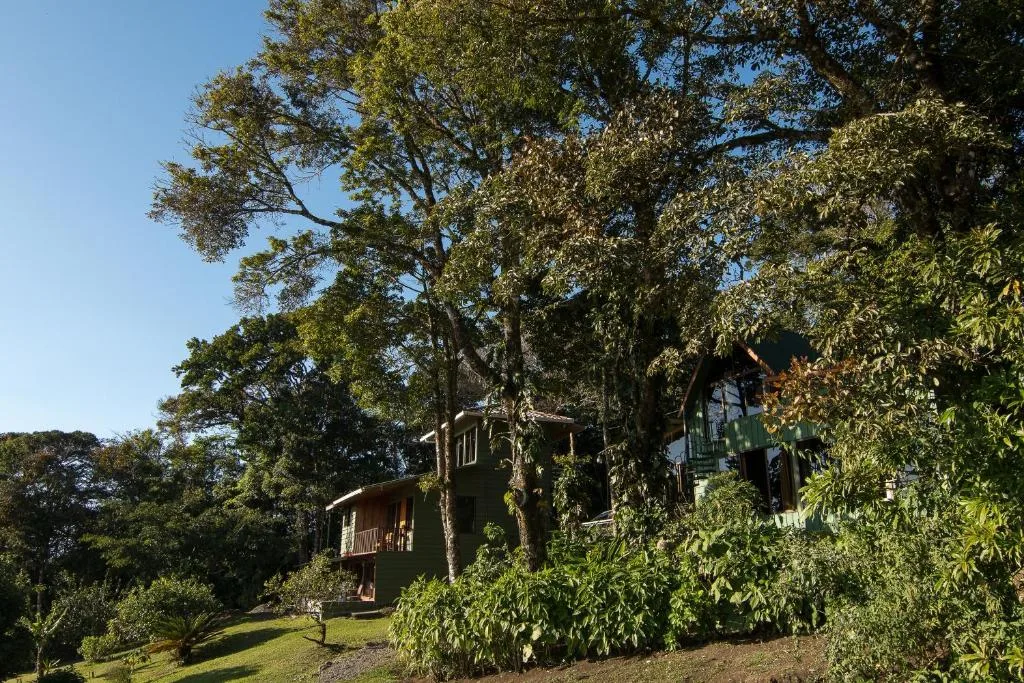 Hotel Flor de Bromelia — 2