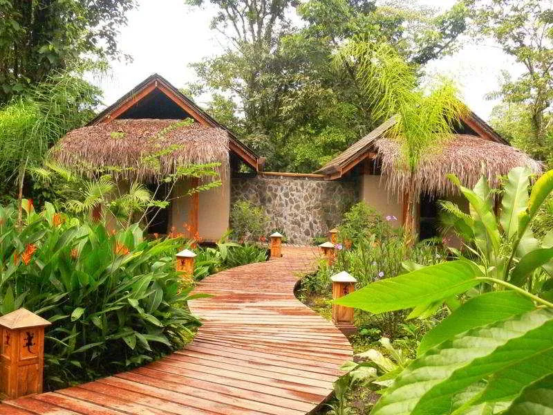 Lost Iguana Resort