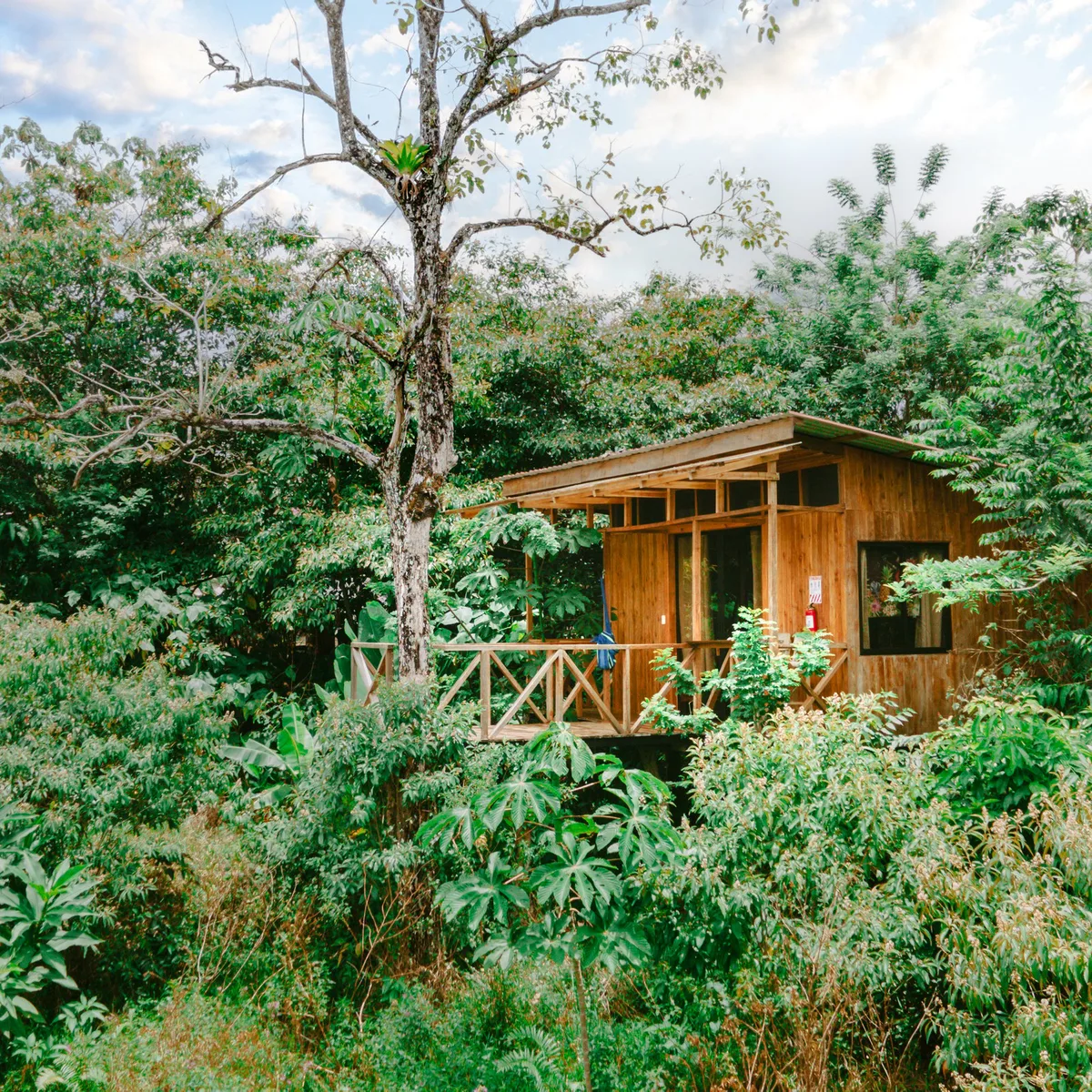 Río Celeste Tree Houses / Lodges — 2