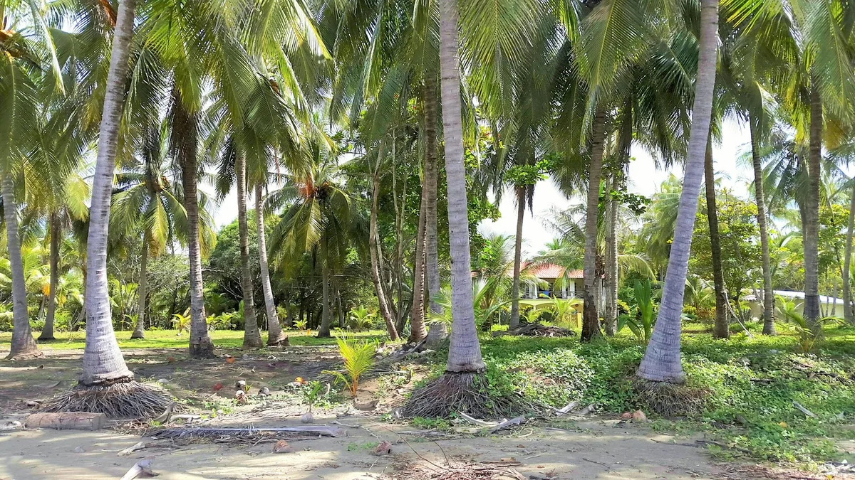 Down by the Sea Beachfront Studio & Apartment with privat entrance right on the Beach at the Pacific Ocean! — 5